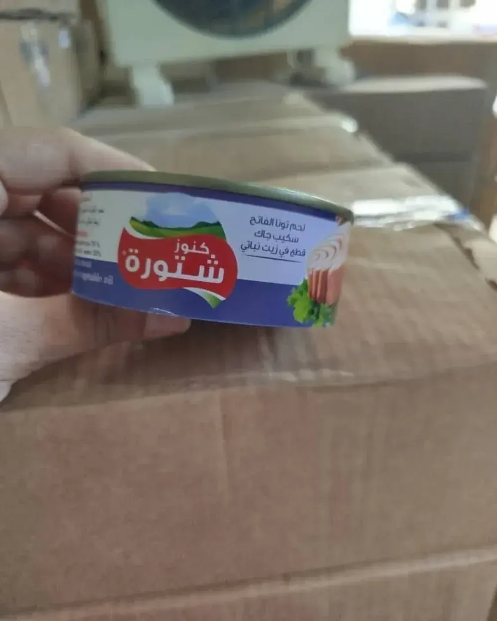 Tuna in Sunflower Oil