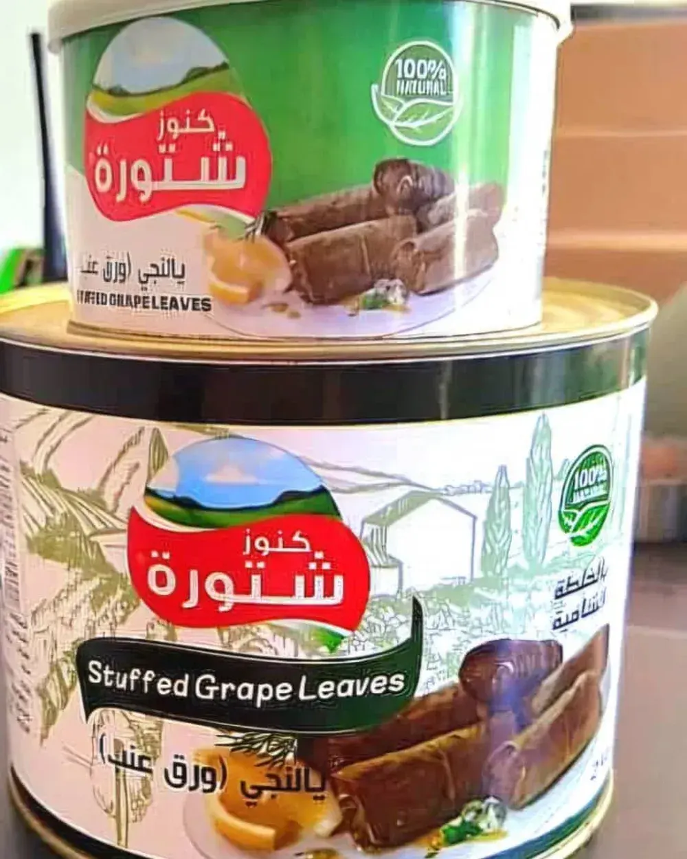 Preserved Vine Leaves — 2